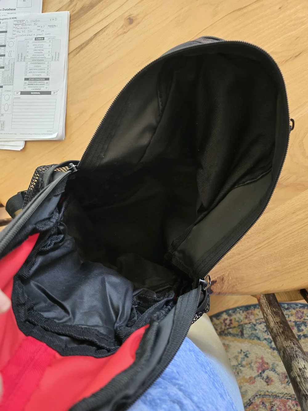 Hollypack Kids Black & Red Backpack - Lightweight School Bag